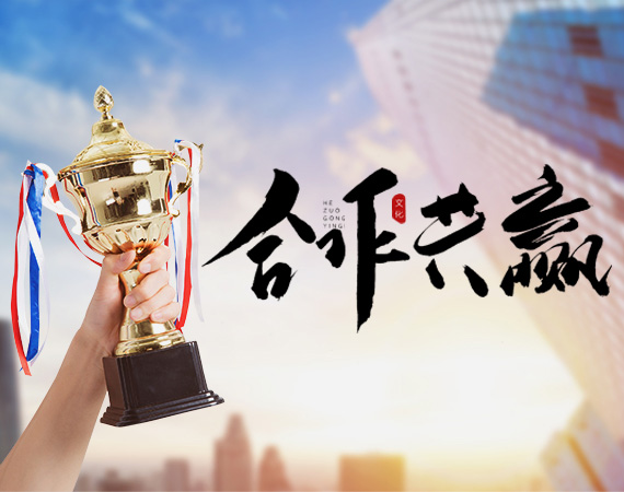環鏈斗式提*機